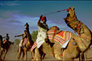 Camel racing - Pushkar