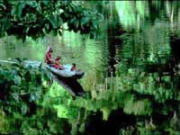 Canoeing on the Maroni, French Guiana