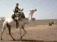 Off to work - Carole on her camel, Burkina Faso